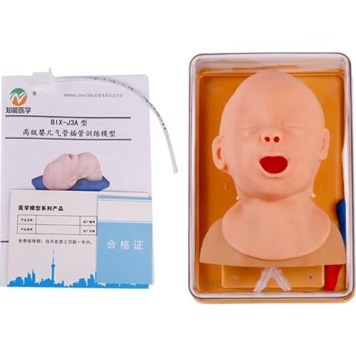 Infant Tracheal Intubation Training Model BIX-J3A