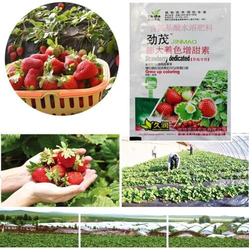 Rapid Rooting Strawberry Fertilizer Supplemental Plant Nutrition Expanded Fruit