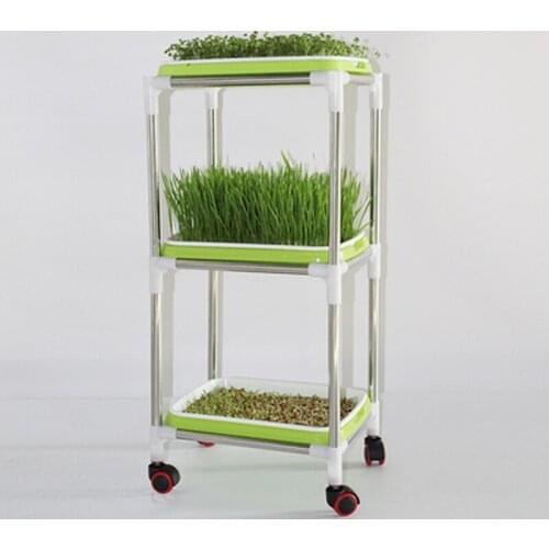 Jusenda Vegetable Seeds