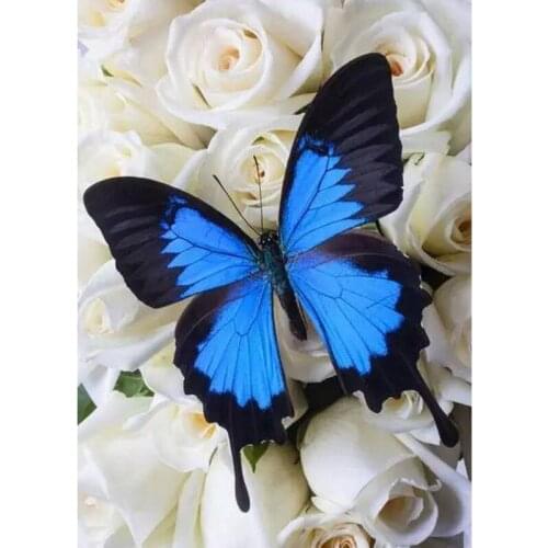 5D DIY Full Square Round Drill Diamond Painting Butterfly Embroidery Cross Stitch Mosaic Home Decor Christmas Gift DP