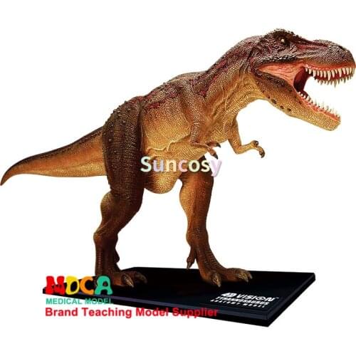 4D Vision T-Rex Anatomy Model - Parent-Child Interactive Toy Improve Hands-On Ability,Medical Models & Educational Materials