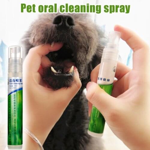 Pet Oral Cleaning Spray Fresh Breath Mouthwash Dog Teeth Cleaner Healthy Toothpaste Pet Supplies Dental Care Liquid AUG8