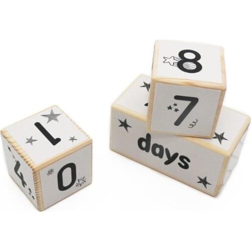 Milestone Solid Wood Age Blocks Baby Age Photo Blocks Keepsake Educational Toy F3ME