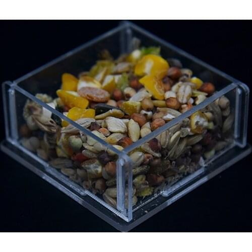 Hamster Rabbit Food Feeder Plastic Clear Pet Feeder For Hamster Guinea Pigs Food Bowl Container Small Animal Feed Bowl