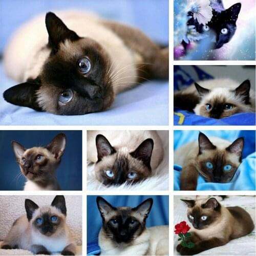 MTdiyart Diamond Siamese Cat Embroidery DIY Diamond Painting Cross Stitch Kit Posters 5D Needlework Diamond Home Decoration