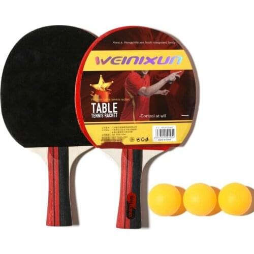 Ping Pong Paddle 2pcs, Portable Storage Complete Table Tennis Set with Advanced Speed Control and Spin, Indoor or Outdoor Play