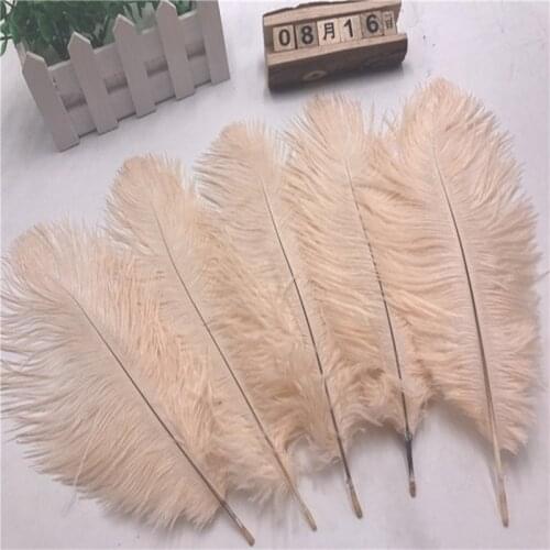 Holiday Decorations 10pcs beautiful water pink ostrich feathers 6-8 inches/15-20 cm wholesale decoration