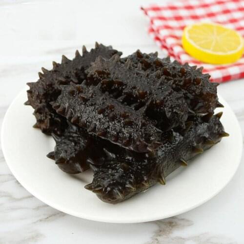 050 Simulated sea cucumber sea cucumber model fake seafood sashimi food restaurant hotel cuisine style decoration