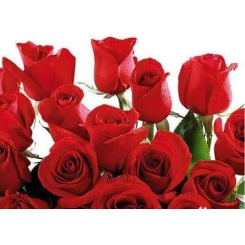 5d full square diamond painting red rose flower embroidery mosaic diamond dotz rhinestone picture puzzle toy drawing wall decor