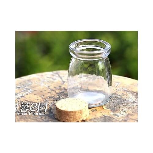Clear Empty Glass Micro Landscape Vials Wish Bottles with Cork 75mm Fairy Garden