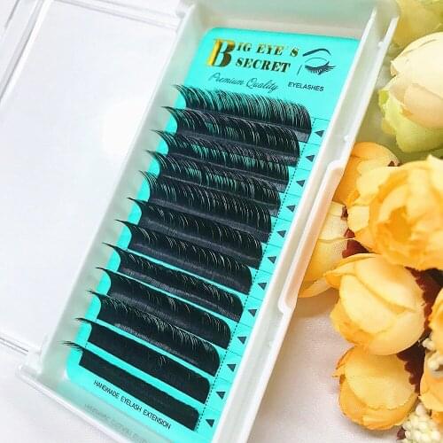 1Tray/12Rows Individual Eye Lashes Extension C D L All Size Black Fake False Silk Eyelashes Big Eyes Secret Free shipping