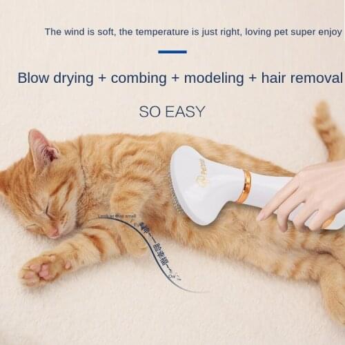 Pet Hair Dryer Comb Dog Hair Dryer Cat Cleaning Hair Dryer 2In1 Hair Dryer Supplies Dryer Dog Grooming Portable Dryer 110v220v
