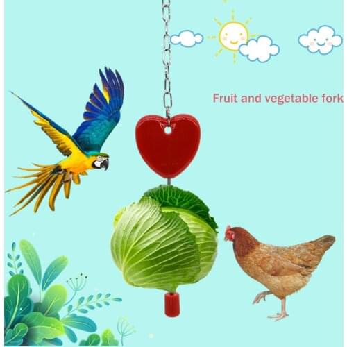 Parrot Stainless Steel Fruit Fork Corn Apple Fork Toy Bird Supplies Utensils Chicken Duck Goose Hanging Bird Feeder