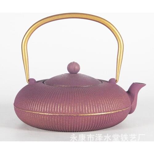 European and American Foreign Trade Color New Iron Pot Iron Tea Pot with Filter Screen inside Light Water Boiling Tea Making