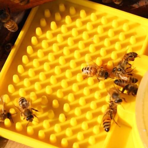 1PCs Beekeeping Beehive Water Feeder Bee Drinking Nest Entrance Beekeeper Cup Tool Bee Feeding Detachable Beekeeping Supplies