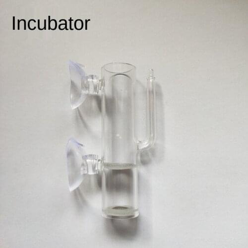 Aquarium Egg Incubator Hatch Crystal Shrimp Fish Tank Transparent Glass Supplies weed accessories aquarium plants jellyfish