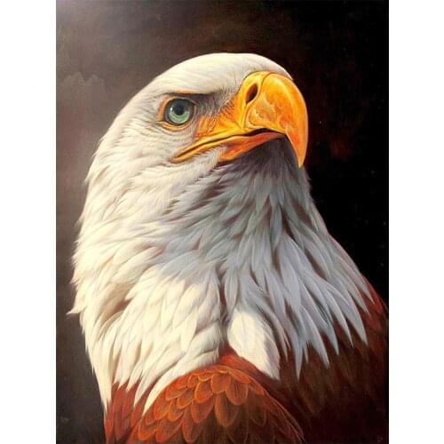 Bald Eagle Diamond Painting Oil Animal Bird Round Full Drill Nouveaute DIY Mosaic Embroidery 5D Cross Stitch Home Decor Gifts