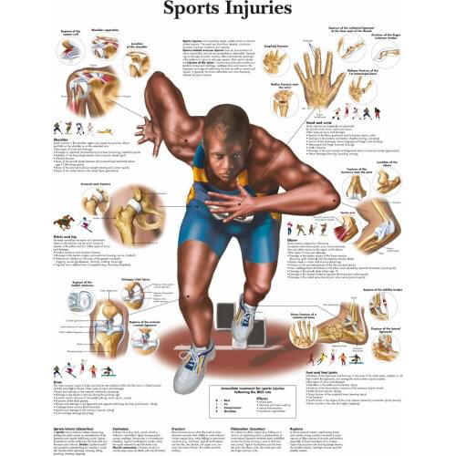 Sports Injuries Picture Art print Silk poster Home Wall Decor