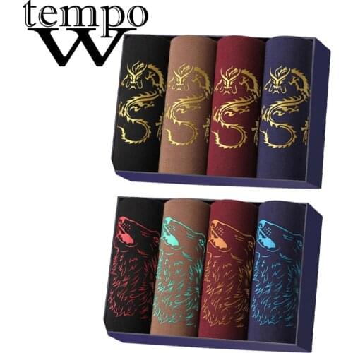 WTEMPO Men's Briefs