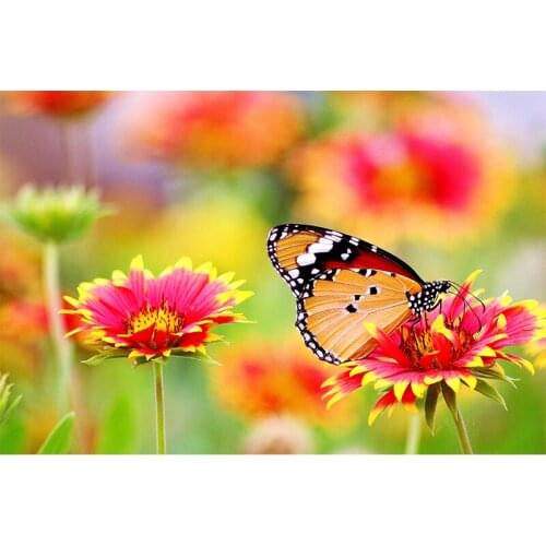 NEW 5D Diy Diamond Painting Flowers Butterfly Cross Stitch Diamond Mosaic Needlework Diamond Embroidery Home Decor Handcraft