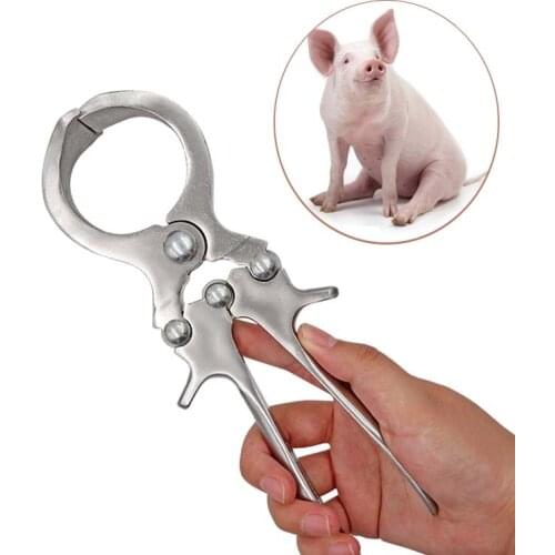 1 Pcs Stainless Steel Bloodless Pig Sheep castration Clamp Castration Tool Castration Forceps Veterinary Special Tools