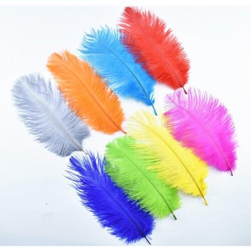10pcs Natural Ostrich Feather 20-25cm/8-10" White Ostrich Feathers Plumes Feathers for Crafts Plume Decoration Plumas Carnaval
