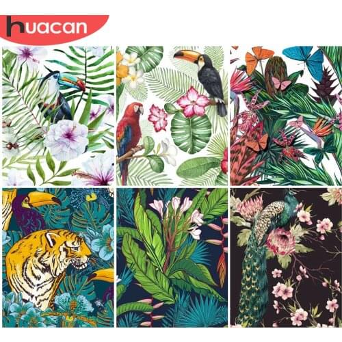 HUACAN DIY frame Picture By Numbers Tiger Unique Gift On Canvas Acrylic Oil Painting By Numbers Butterfly Aniaml For Living Room