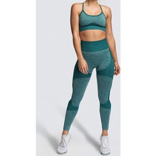 2 Pcs women seamless yoga set Breathable sport Bra High waist leggings Push up yoga pants Gym fitness running sportswear Workout