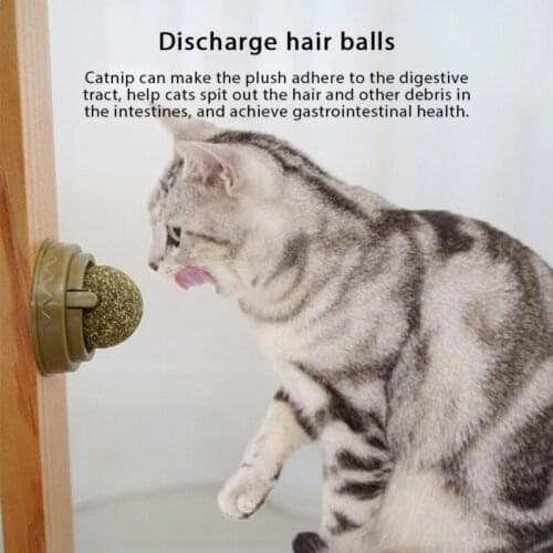 Pet Catnip Toys Rotating Cat Mint Ball Edible Catnip Ball Safety Healthy Cats Products Clean Teeth The Stomach Pet Supplies