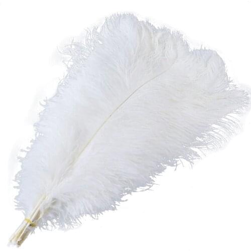 10Pcs Big Pole Natural White Ostrich Feathers 60-65cm Wedding Carnival Stage Performance Decoration Feather Accessory Plumes