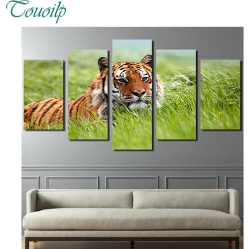 5pcs full round&square 5D diamond painting Lovely tiger green grassland Hanging on the wall embroidery wedding decoration gifts