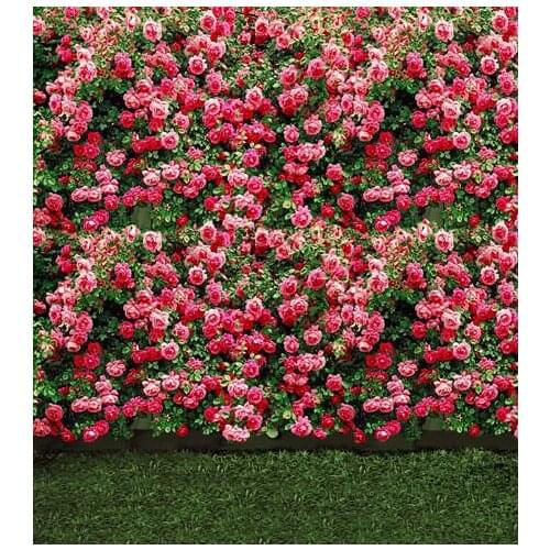 VinylBDS 300x300cm Flowers Photography Backdrops Baby Rose Wall Lawn Wedding Studio Background