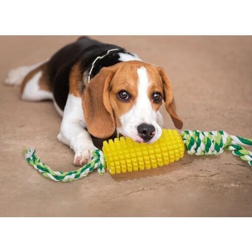 Pet Dog Toys For Small Dogs Toy Interactive Cotton Rope Mini Fidget Toys Ball For Dogs Accessories Chew Puppy Pets Acessorios