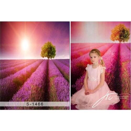 Provence lavender field backgrounds princess portrait vinyl photography backdrops for girls photo studio kits photophone S-1466