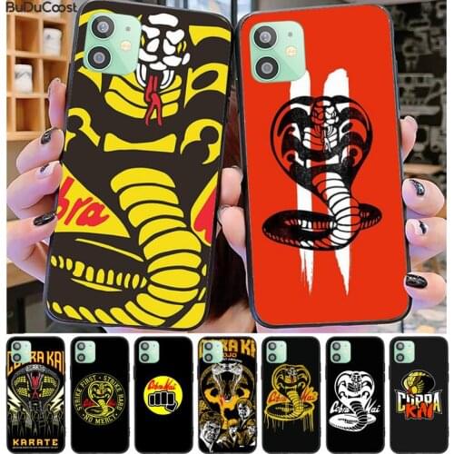 Cobra Kai Season 2 Phone Case For iphone 12 pro max 11 pro XS MAX 8 7 6 6S Plus X 5S SE 2020 XR case