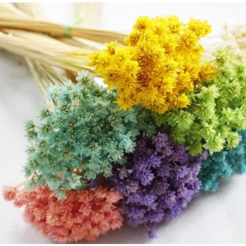 150pcs 1cm Mini Dried Flowers Preserved Flower For Wedding Party Home Hotel Decoration DIY Bouquet Accessory Exopy Filler
