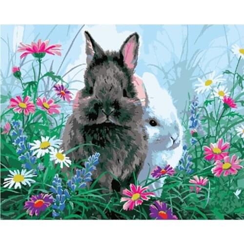 Painting By Number 40X50 50x65CM Black And White Bunny Animal Wall Art Gift DIY Pictures By Numbers Canvas Kits Home Decoration
