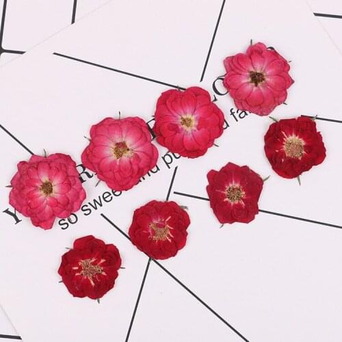 16pcs,Nature Eternal Pressed Rose head, Real Dried Flowers DIY Nail Art Decoration Flora Gel Manicure Stickers DIY Bookmark Gift