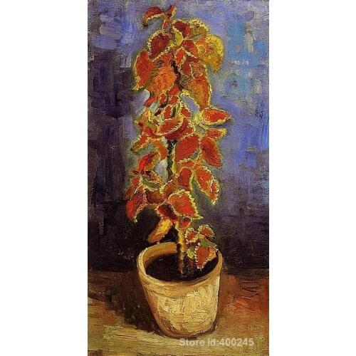 Coleus Plant in a Flowerpot by Vincent Van Gogh Oil painting reproduction home decor Hand painted High quality