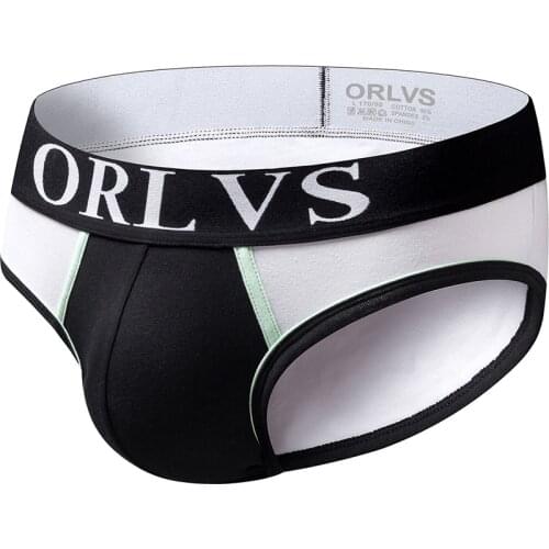 2020 ORLVS Brand Men Underwear Cotton briefs Mens shorts Lingerie Gay Underwear Man underpants Male Panties