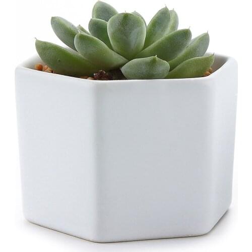 Ceramic Six Semi Luster Surface Succulent Cactus Plant Pot Flower Pot/container/planter Matt White