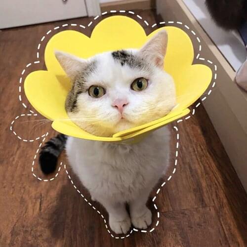 Soft Pet Cat Flower Shaped Elizabethan Collar Neck Circle Recovery Collar Anti-bite Surgery Wound Recovery Protective E-Collar