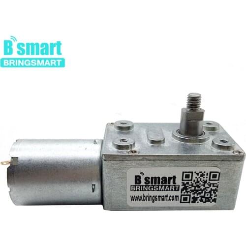 Bringsmart 6-150RPM Low Speed Reducer Motor JGY370-4632 DC 6-24v Worm Geared Motor 8mm Output Shaft M5 Screw Double Flat Gearbox