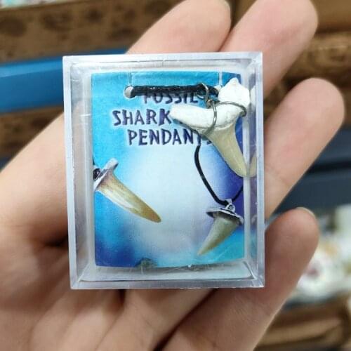 Natural Creature Fossil Stone Necklace Pendant Polishing Pendant 28-40mm Wholesale 1pcs