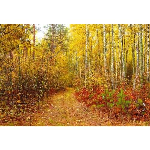 Golden leaves photography backgrounds vinyl fotografia straw kids photo-shots backdrops for photo studio props photophone lv-906