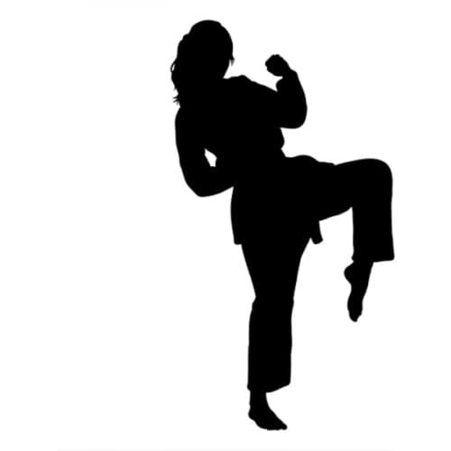 Karate Girl Silhouette Strong Pattern Vinyl Car Styling Car Stickers Art Decor Bumper Decals CL358
