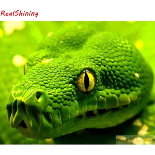 5D Diy Diamond Painting Cross Stitch full Square Diamond Embroidery snake picture for room Decor H1639