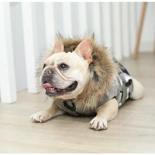 Fashion Pet Dog Cotton Waistcoat For Small Medium Dogs Snowsuit Winter Warm Hoodie Coat Jacket Schnauzer French Bulldog IBC04