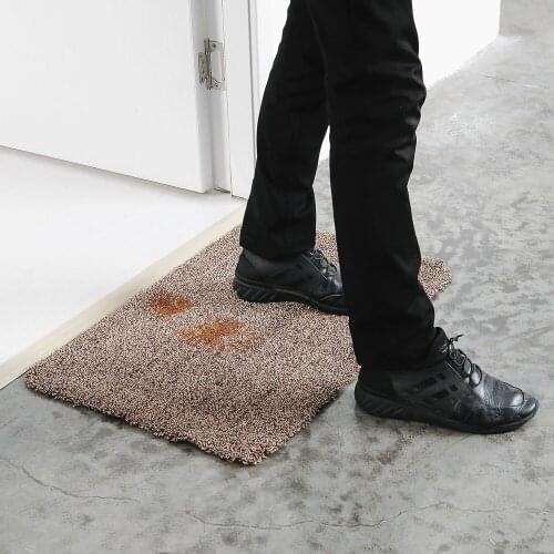 Black Technology Magic Decontamination Water Absorption Into The Bathroom Carpet Mat Door Mat Pet Dog Mat
