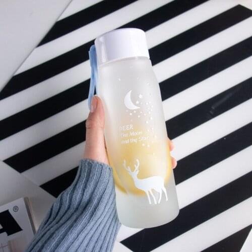 Plastic Water Bottle Creative Elk Leak-proof Portable Space Bottles For Travel 560ml